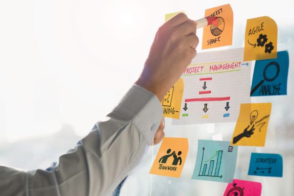 Best project management software